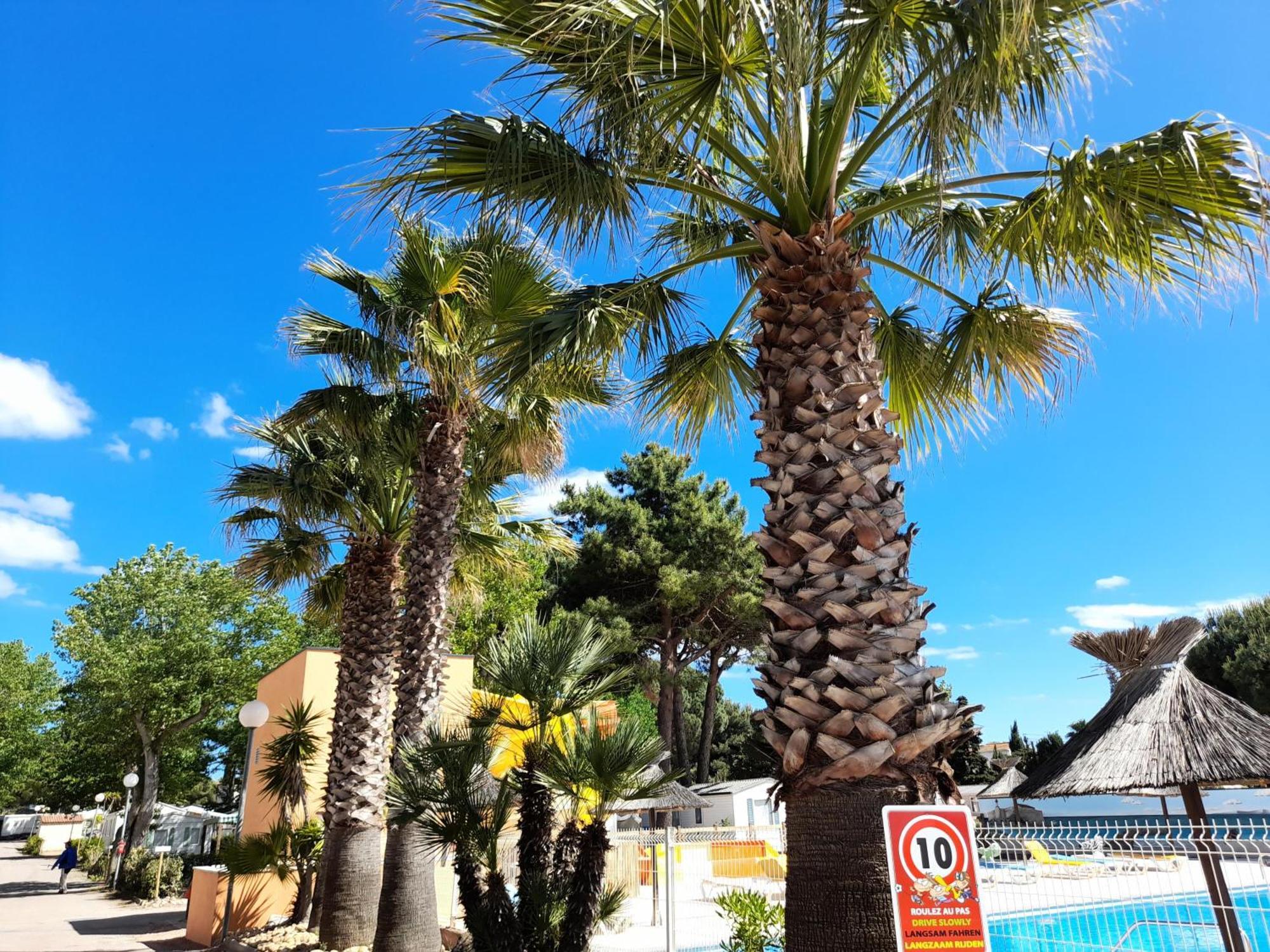 Camping Les Jardins D'Agathe - Maeva Le Grau d'Agde Exterior foto